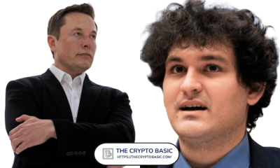 打不死的交易员哲学：穿越牛熊必备的三种反人性操作心法  第1张