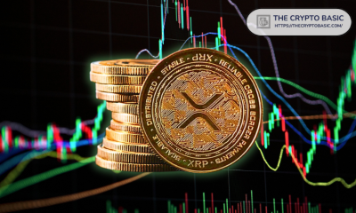 罗晟行为金融学：从脑神经科学解析为何总在最低点割肉  第1张