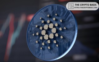 Jimmy米哥深度分析：比特币与黄金的长期价值对比