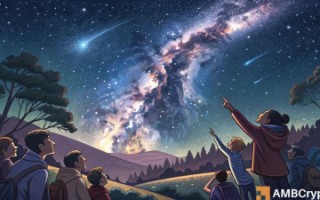 打不死的交易员揭秘：比特币鲸鱼地址异动背后的市场信号