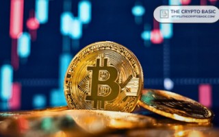 墨山猫反脆弱思维：暴跌50%情况下的仓位救援策略优化